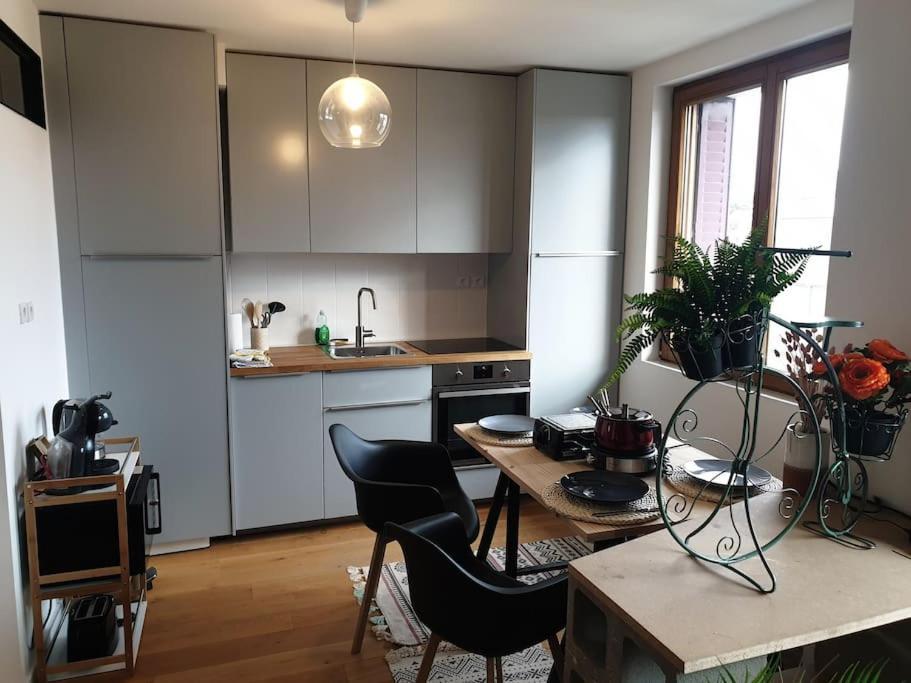 The Duplex Annecy Tgv; Vielle Ville Bagian luar foto